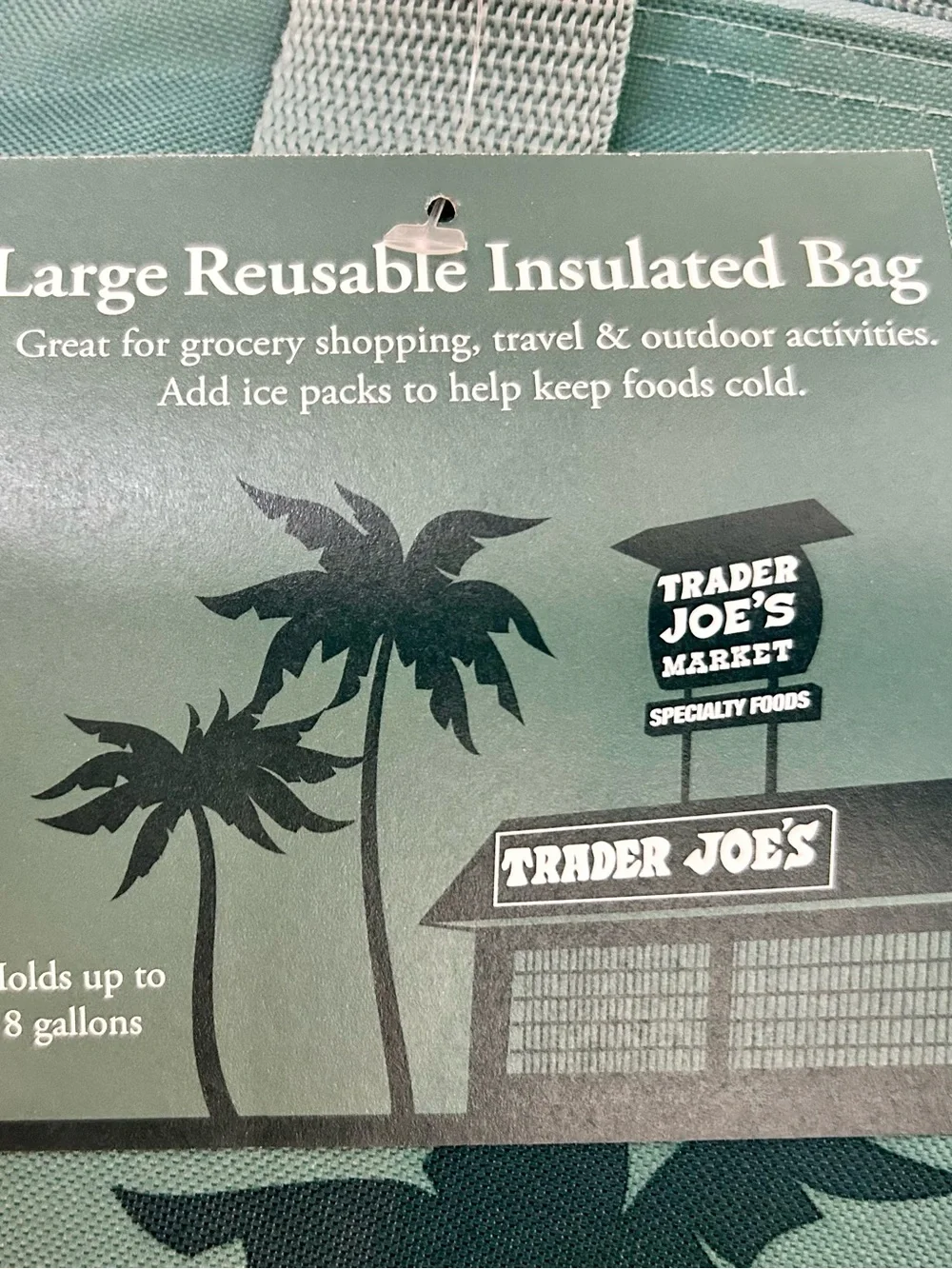 Trader Joe’s Teal Reusable bag
